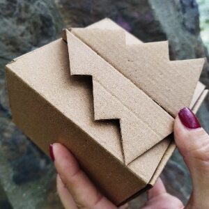 Cajas de cartón germinable
